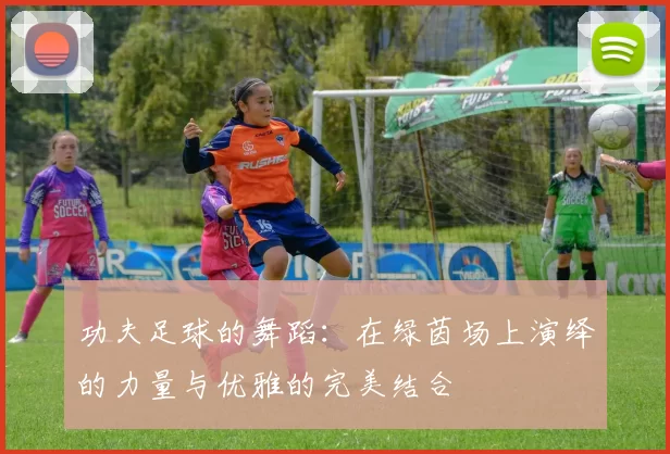 功夫足球的舞蹈：在绿茵场上演绎的力量与优雅的完美结合