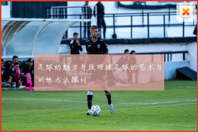 足球的魅力与技巧揉足球的艺术与训练方法探讨